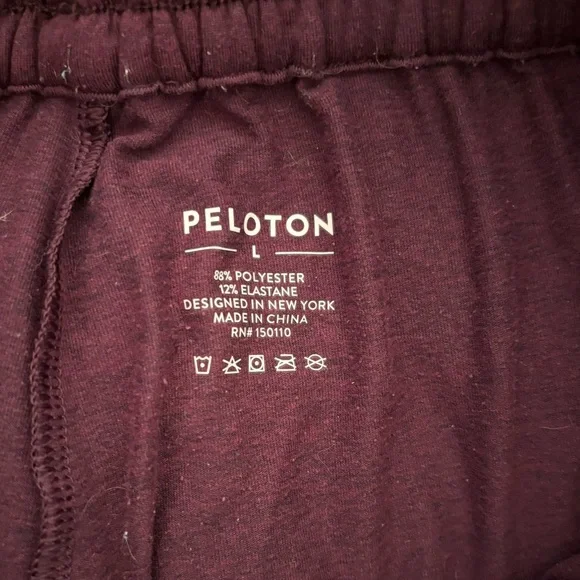 Peloton Dreamblend Jogger & Hoodie - Picture 6 of 7